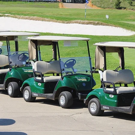 MIP-Website_SRB_Golf-Carts_450x450